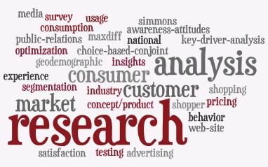 MKT 419 WEB Assignment: The Consumer Research Process