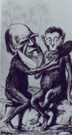 Cartoon of Darwin with Ape